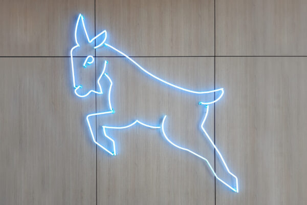 Ein stilisiertes Ziegenmotiv, das aus leuchtenden blauen Neonlinien besteht, ist an einer hellen Holzverkleidung angebracht. Die einfache, minimalistische Darstellung wirkt modern und hebt sich durch das Leuchten der Neonröhren hervor.