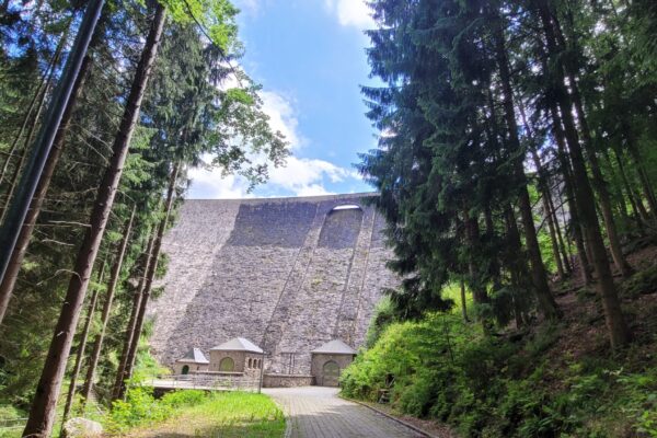Blick auf die imposante Staumauer der Talsperre Sosa, umgeben von hohen Nadelbäumen. Ein gepflasterter Weg führt zu kleinen Gebäuden am Fuß der Mauer. Der Himmel ist teils bewölkt und teils blau, und Sonnenlicht fällt durch die Bäume.