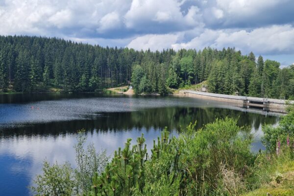 Die Talsperre Sosa, ein ruhiger Stausee inmitten dichter Nadelwälder, umgeben von grüner Vegetation. Am rechten Rand des Sees verläuft eine lange Steinbrücke über das Wasser. Der Himmel ist teilweise bewölkt, und die Bäume spiegeln sich auf der stillen Wasseroberfläche.